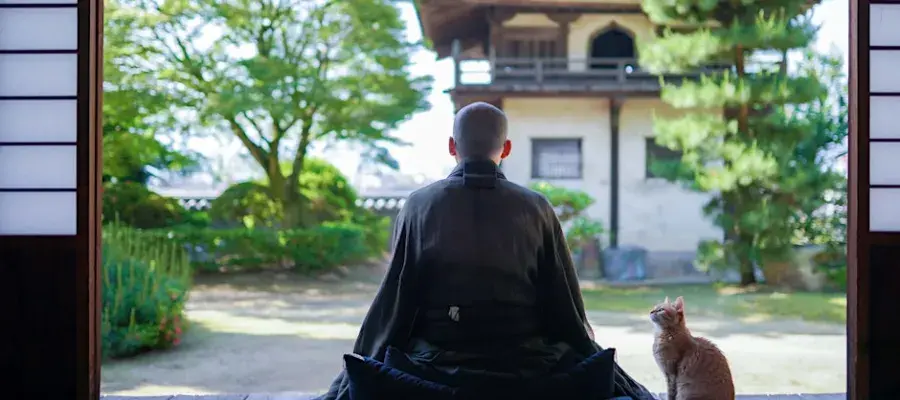 Colour image of a Buddhist monk sat on a wooden porch looking out at buildings and trees. A cat sits to their right looking up at them.