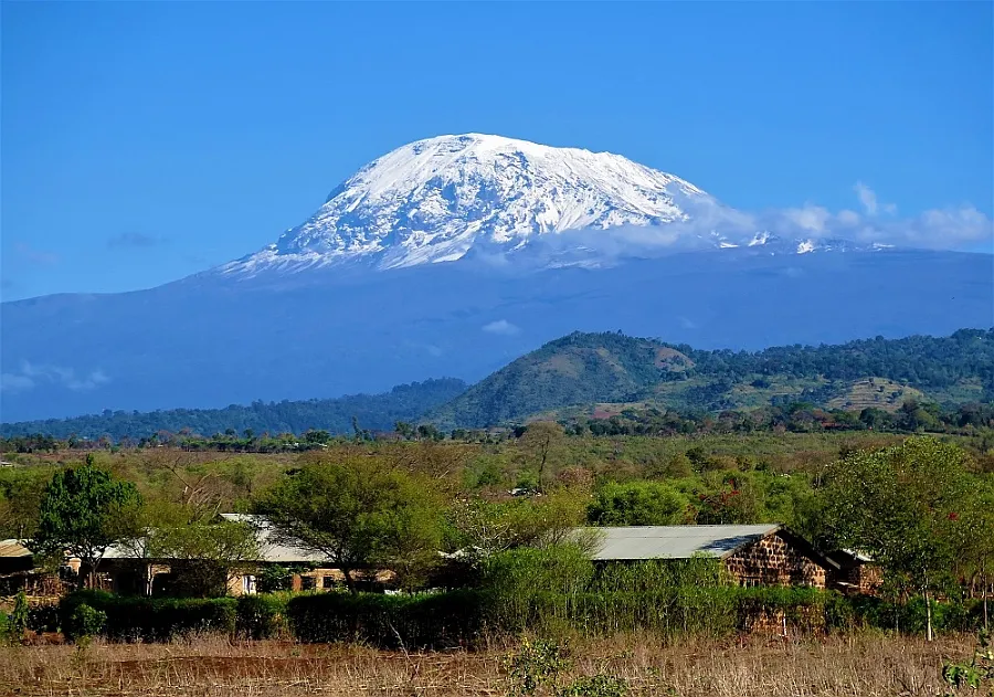 Low buildings and trees with the Kibo peak of Kilimanjaro beyond