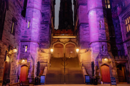 Colour photo of the New College Quad lit up purple