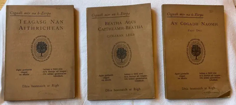 Colour image of three old books from the New College Special Collections