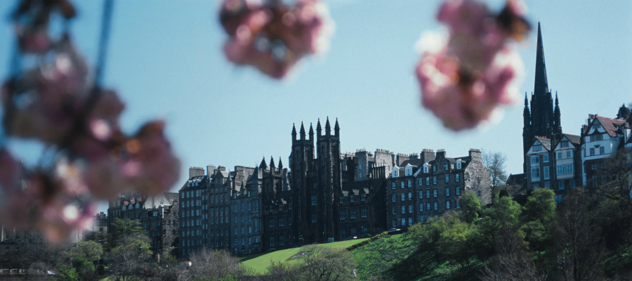 Location | School of Divinity | School of Divinity
